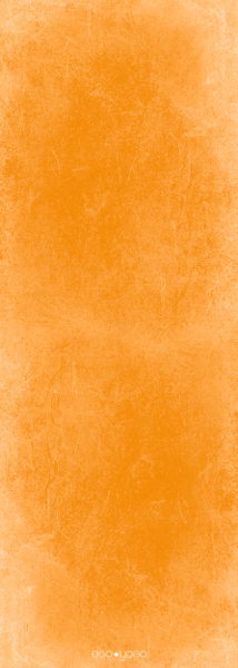 Коврик для йоги «Orange» EGOyoga